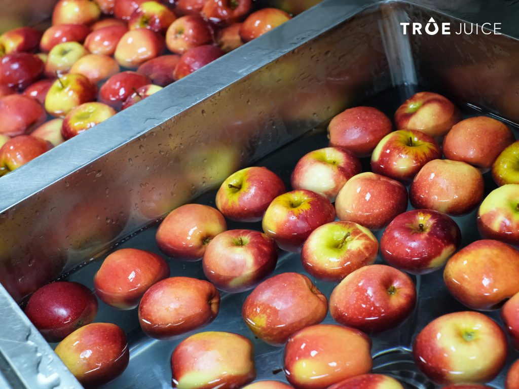 quy-trinh-bao-quan-rau-cu-qua-1