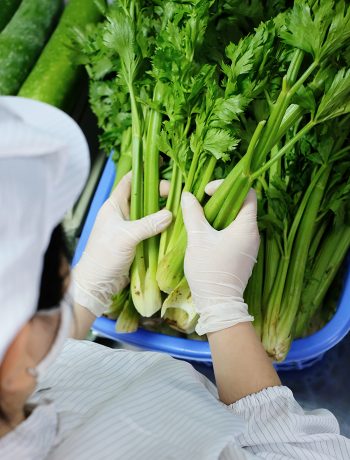 quy-trinh-bao-quan-rau-cu-qua