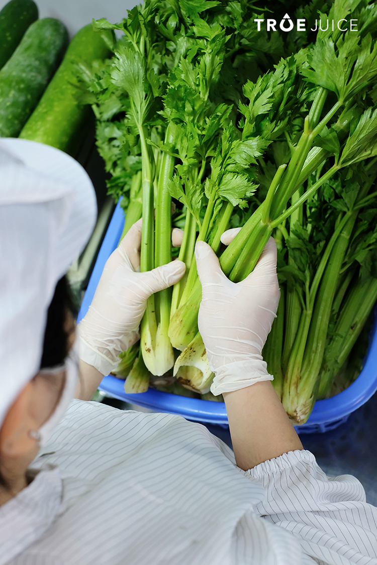 quy-trinh-bao-quan-rau-cu-qua