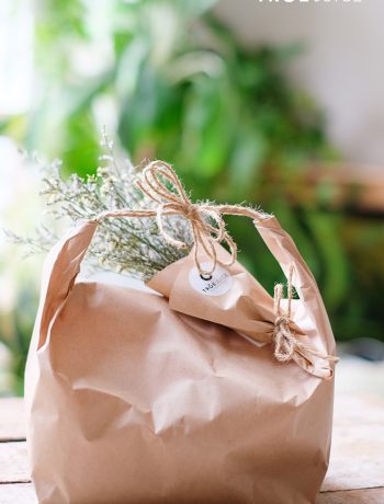 mung-20-10-true-juice